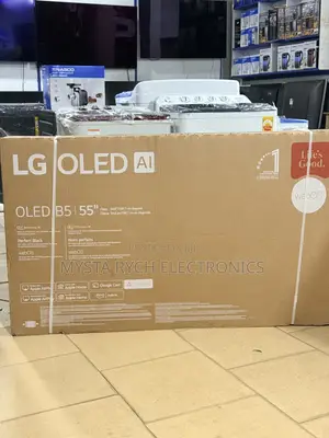 55 Inches Lg Oled Evo