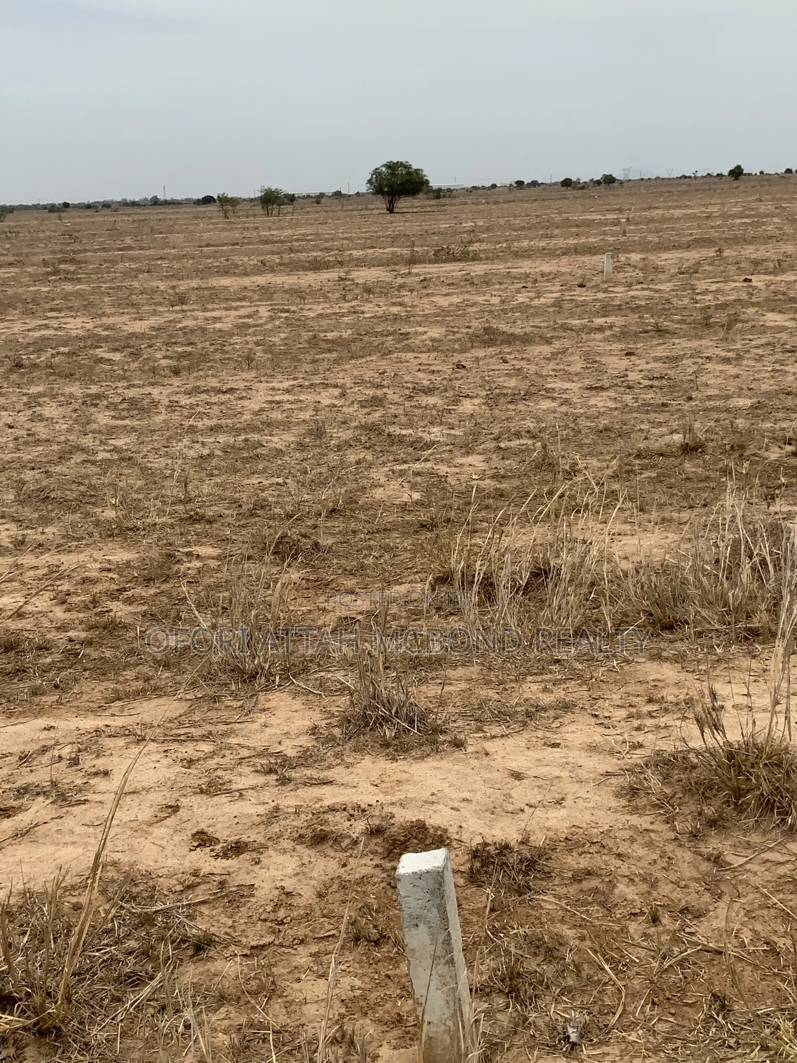 Genuine Land You Can Trust