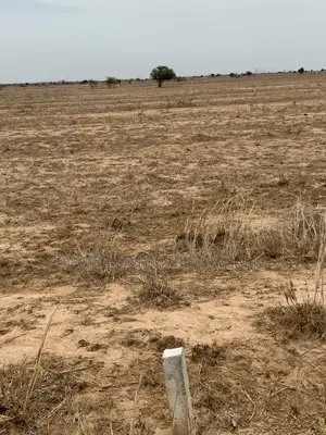 Genuine Land You Can Trust