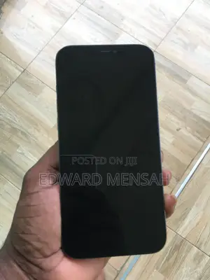 Apple iPhone 12 Pro Max 256 GB Gray