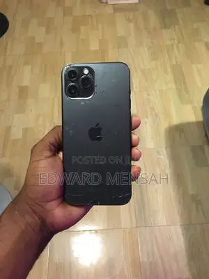 Apple iPhone 12 Pro Max 256 GB Gray