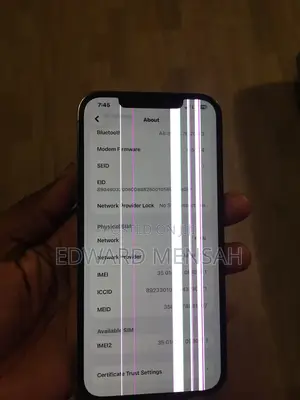 Apple iPhone 12 Pro Max 256 GB Gray