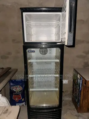 Showcase Mikachi Fridge for Sale