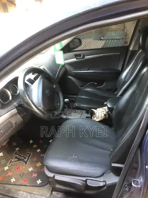 Hyundai Sonata 2010 Blue