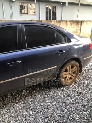 Hyundai Sonata 2010 Blue