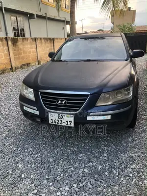Hyundai Sonata 2010 Blue