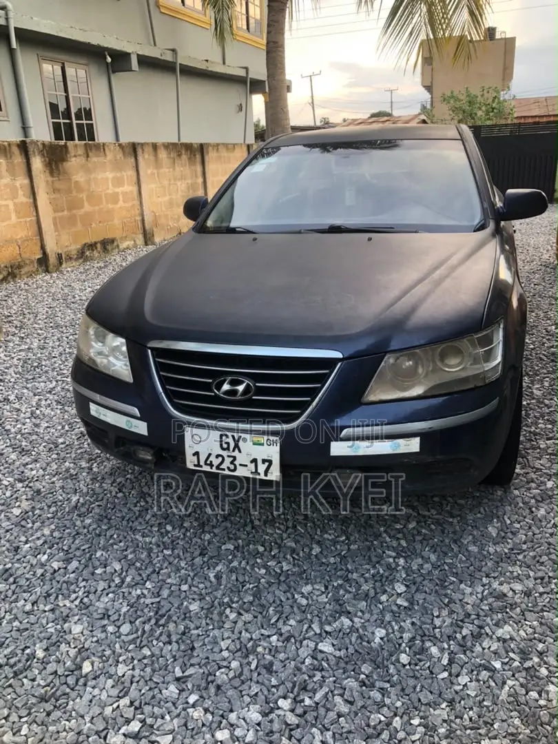 Hyundai Sonata 2010 Blue