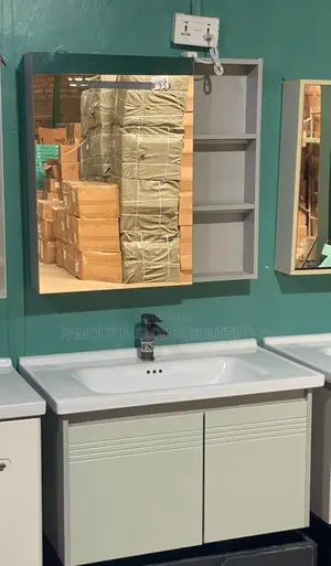 Vanity Basin