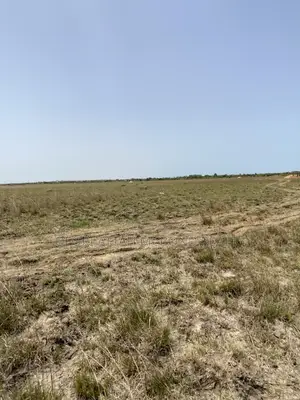 100% Secured = Tsopoli Genuine Full Plots ! 