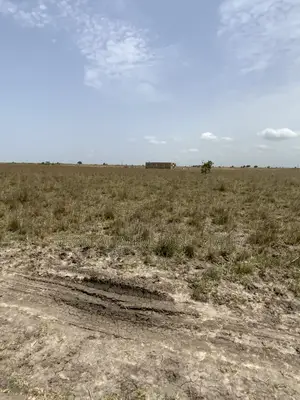 100% Secured = Tsopoli Genuine Full Plots ! 
