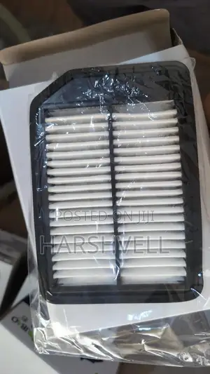 Toyota Agya Air Filter