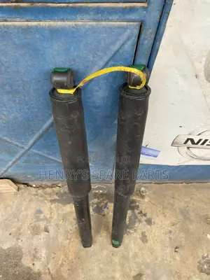 F150 Back Shocks