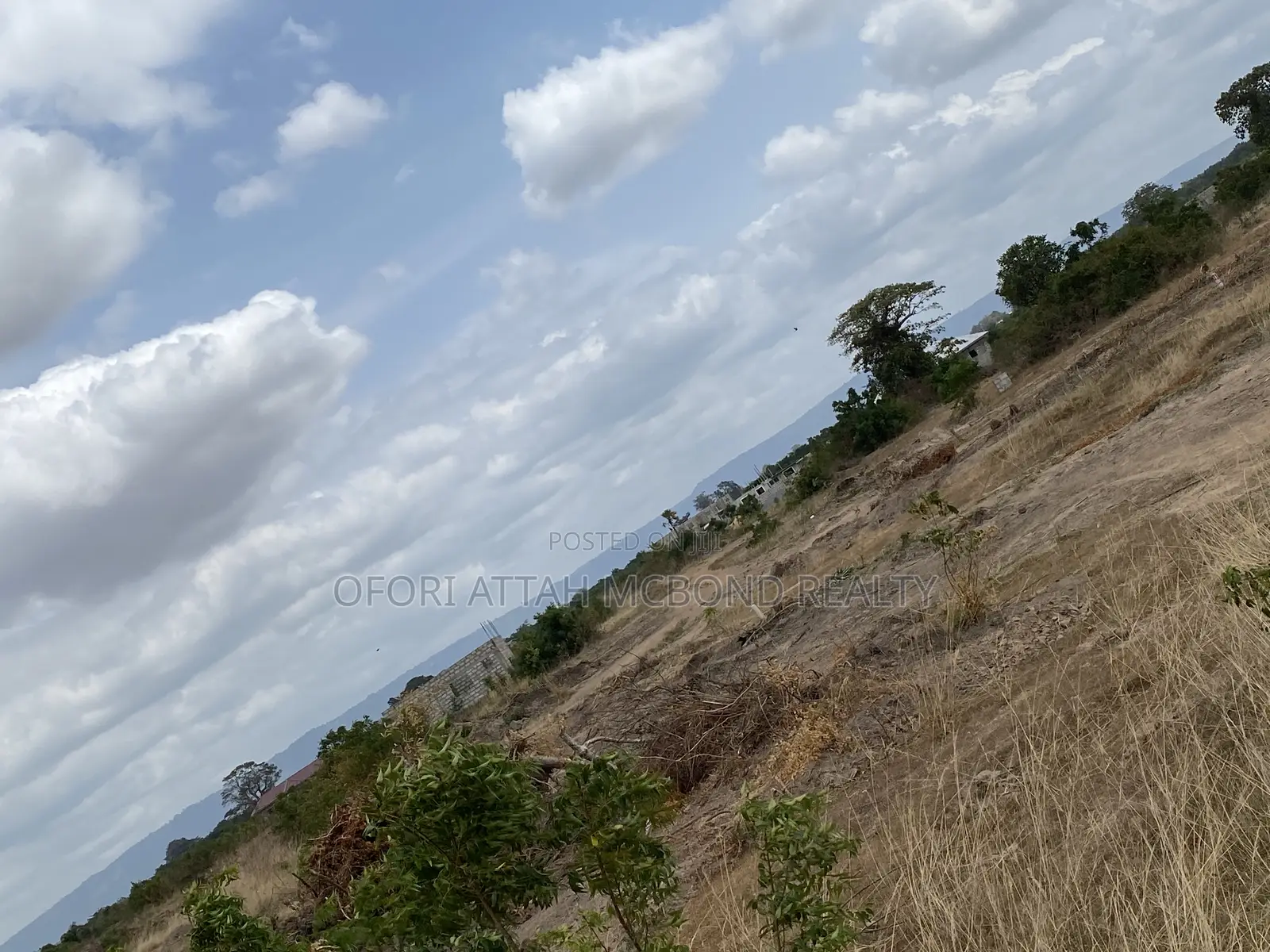 Afienya (Mobole) Genuine Land For Sale