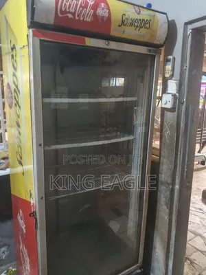 Fairly Used Standing Fridge