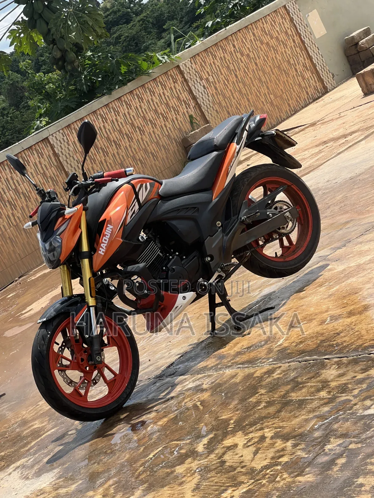 New Haojin Evo II 2025 Orange