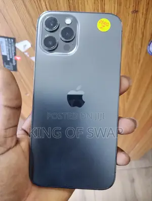 Apple iPhone 12 Pro Max 256 GB Blue