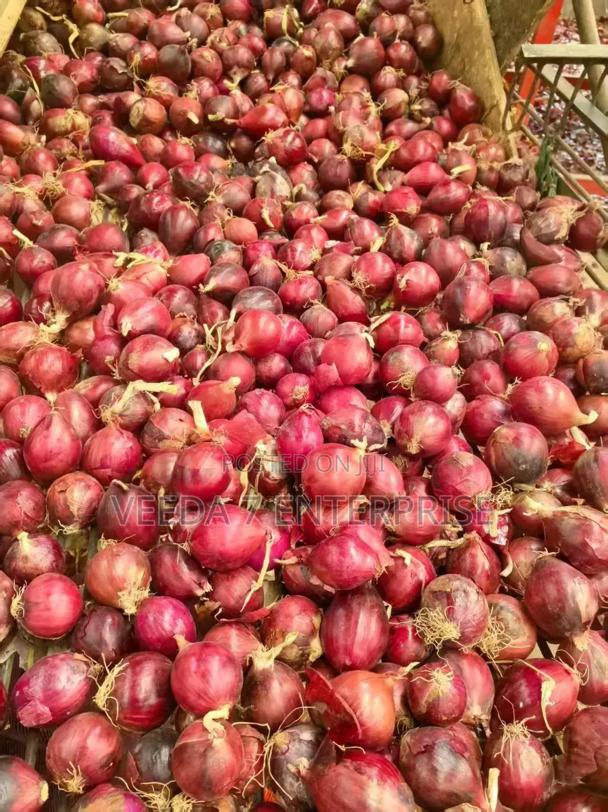 Fresh Onions