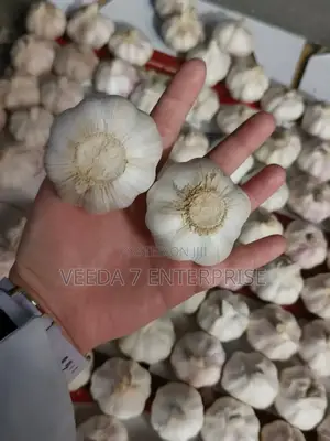 Fresh Garlic