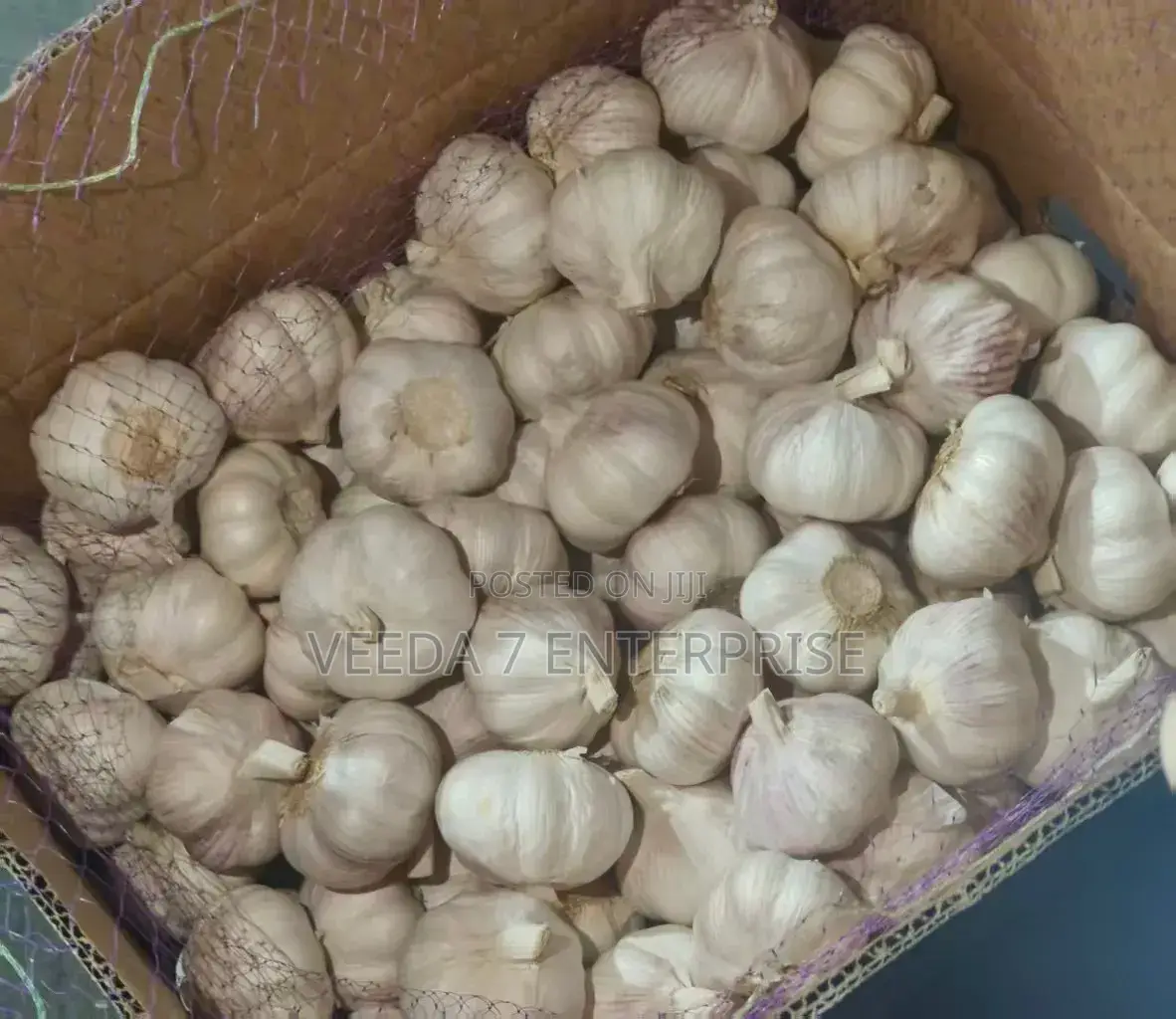 Fresh Garlic