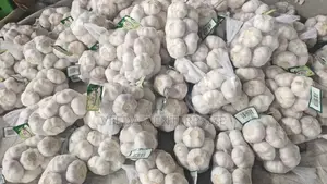 Fresh Garlic