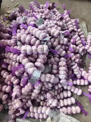 Fresh Garlic