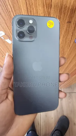 Apple iPhone 12 Pro Max 256 GB Gray