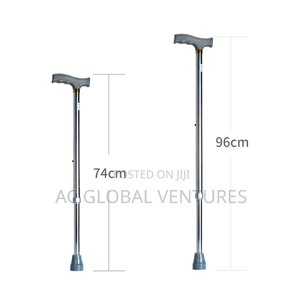 Walking Stick
