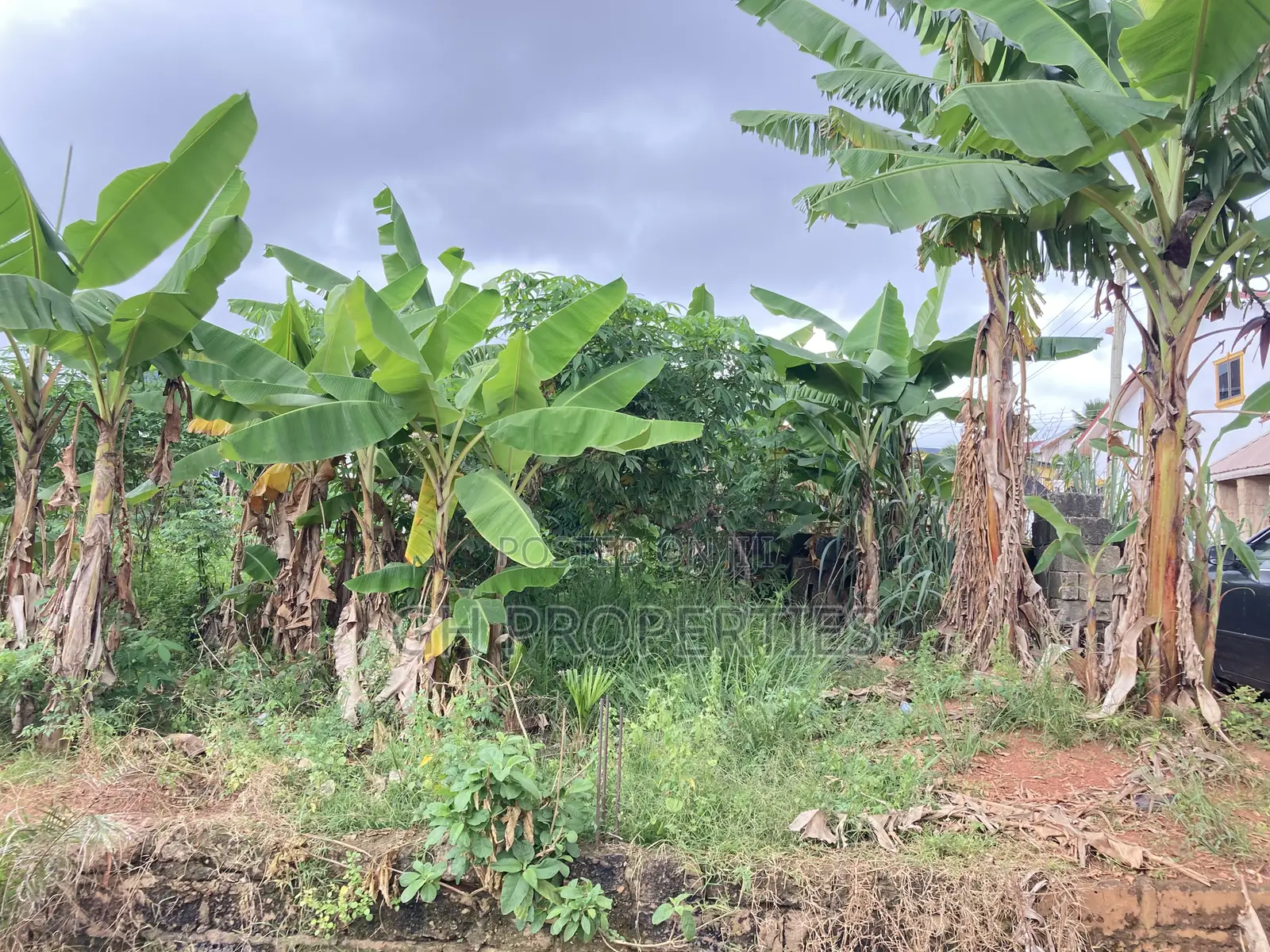 One Plot for Sale at Daban.