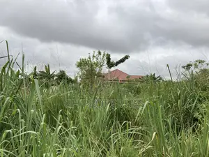 One Plot for Sale at Daban Cindy’S