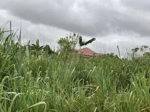 One Plot for Sale at Daban Cindy’S