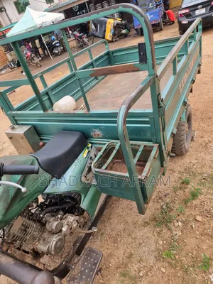 Luojia Cargo Tricycle 2022 Blue