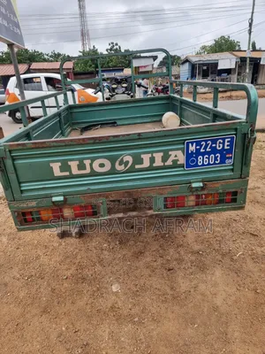 Luojia Cargo Tricycle 2022 Blue