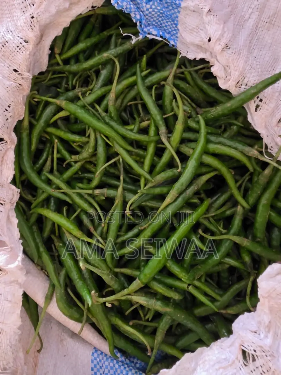 Fresh Chilly Pepper