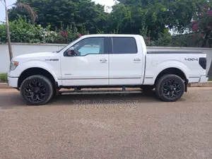 Ford F-150 Platinum 4dr SuperCrew 4WD 5.5 ft. SB (5.0L 8cyl 6A) 2015 White