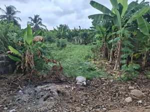 A Full Plot of Land for Sale in Daban