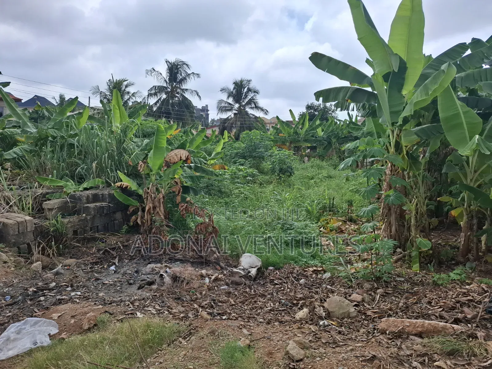 A Full Plot of Land for Sale in Daban