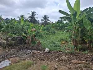 A Full Plot of Land for Sale in Daban