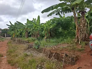 A Full Plot of Land for Sale in Daban