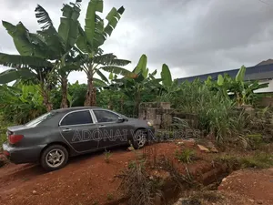 A Full Plot of Land for Sale in Daban