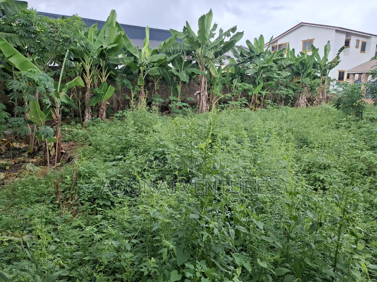 A Full Plot of Land for Sale in Daban