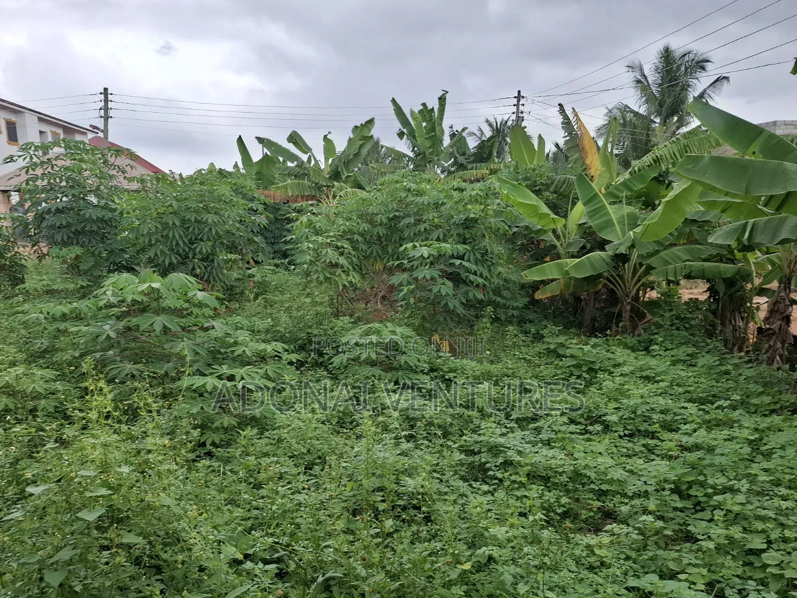 A Full Plot of Land for Sale in Daban