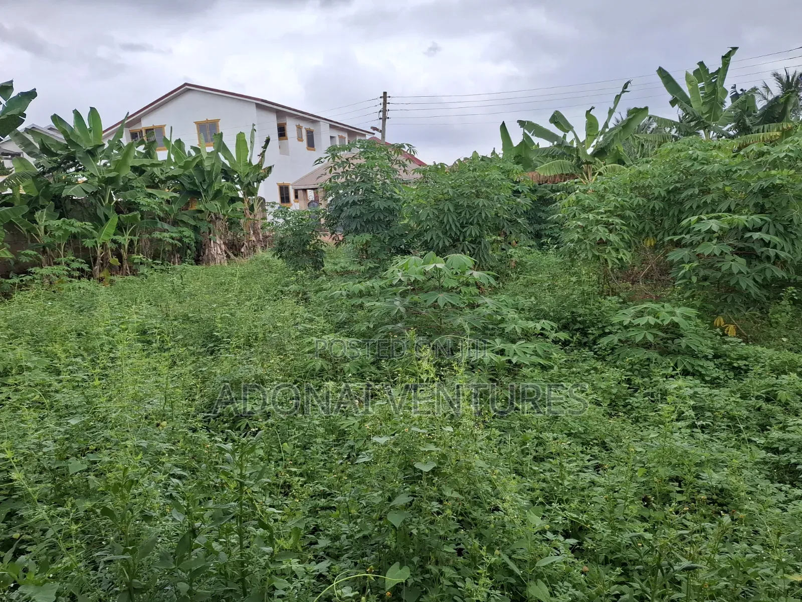 A Full Plot of Land for Sale in Daban