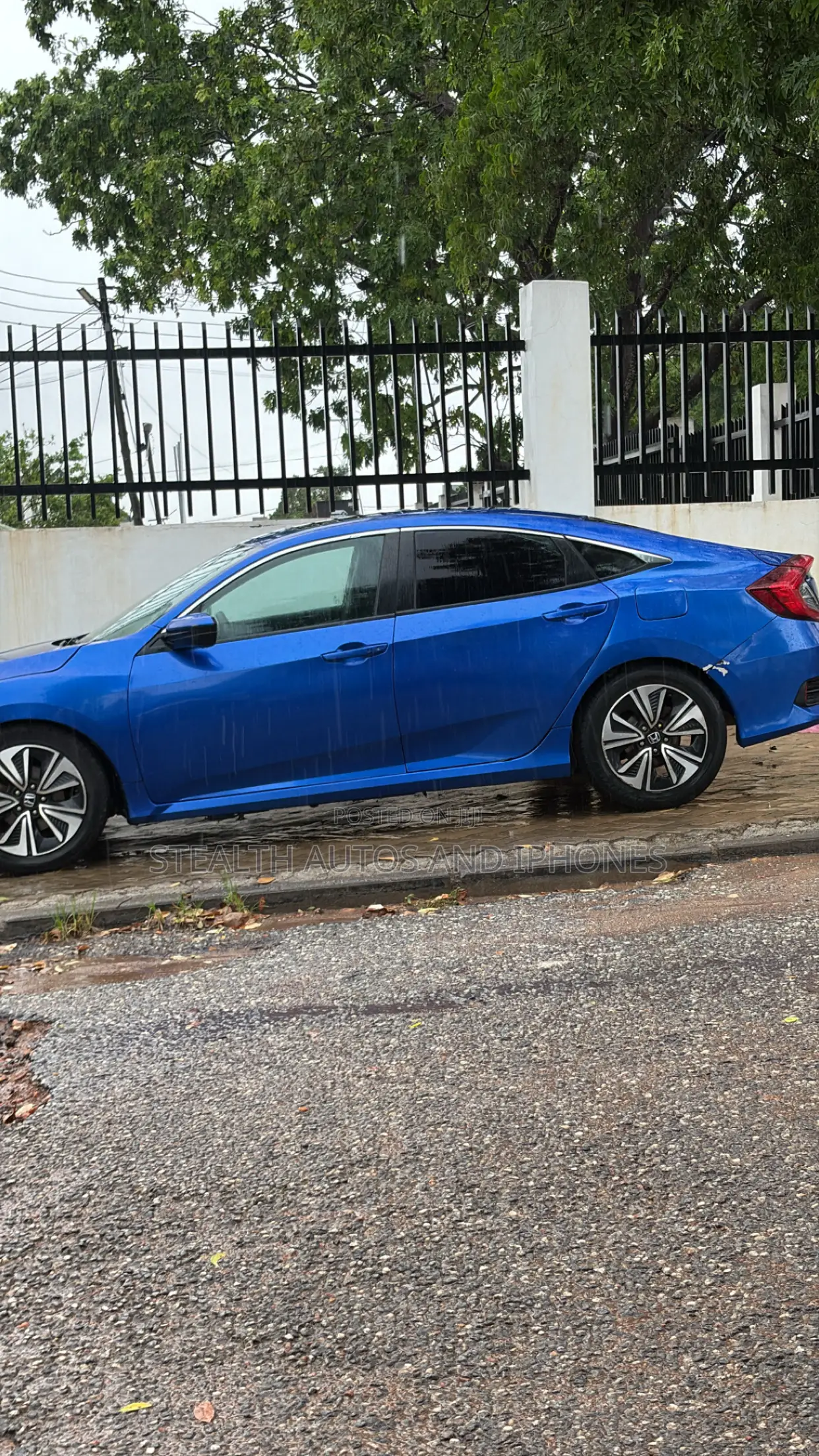 Car Rentals