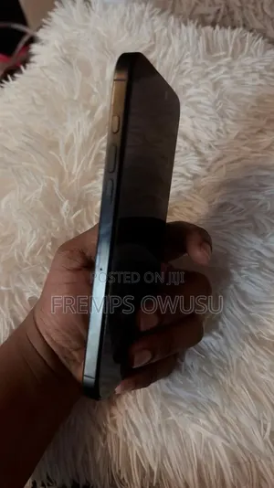 Apple iPhone 16 Pro Max 256 GB Black