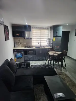 Furnished 1bdrm Apartment in The Grey Buildjng, American House for rent
