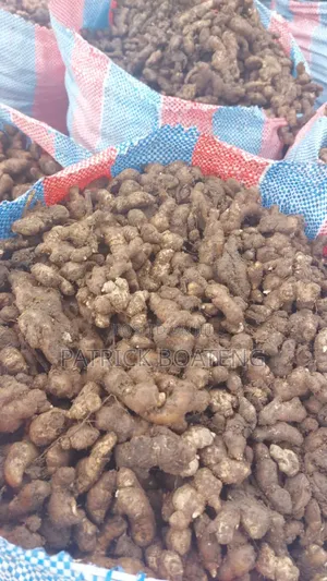 Ginger Best Spicies