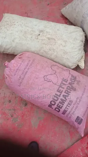 Ginger Best Spicies