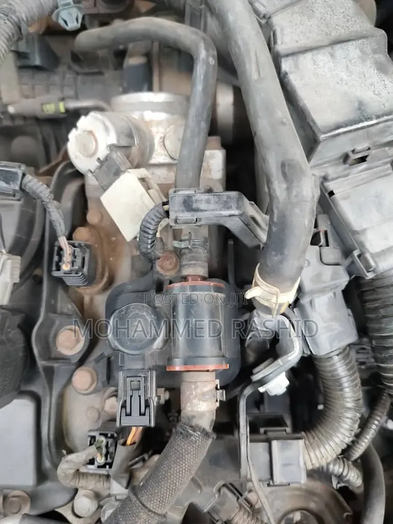 Auto Eletrical Specialist
