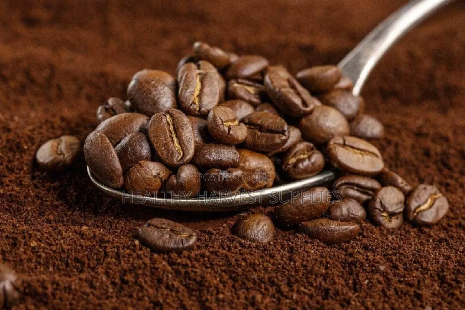 Coffee Beans