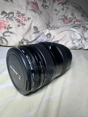 Canon 24-105mm